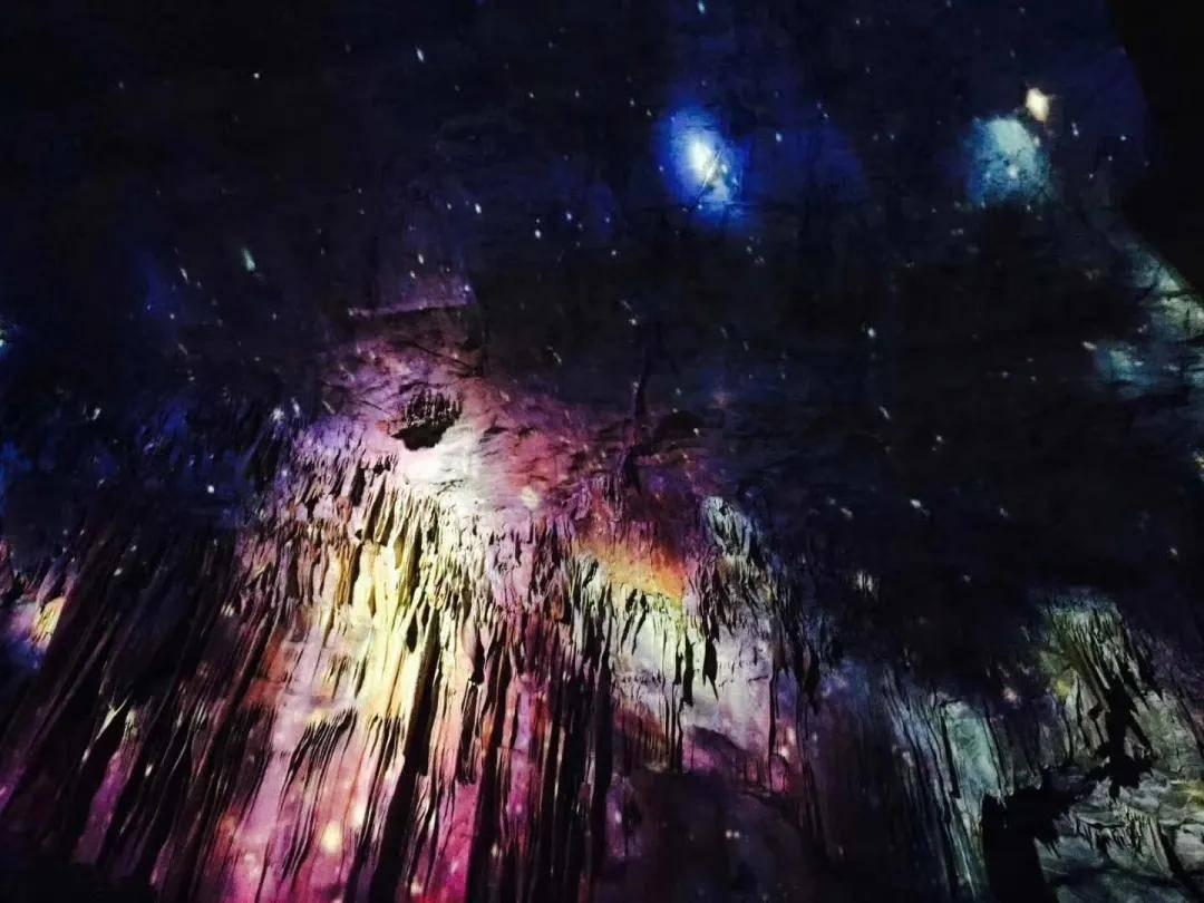 探索天涯,尽在暑期档综艺场子热起来了,各大卫视交出了怎样的答卷呢?