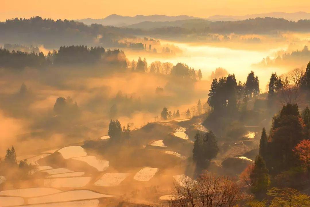 春雨直播app