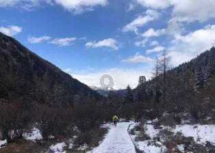 沪江开心词场