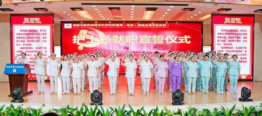 虫虫助手下载